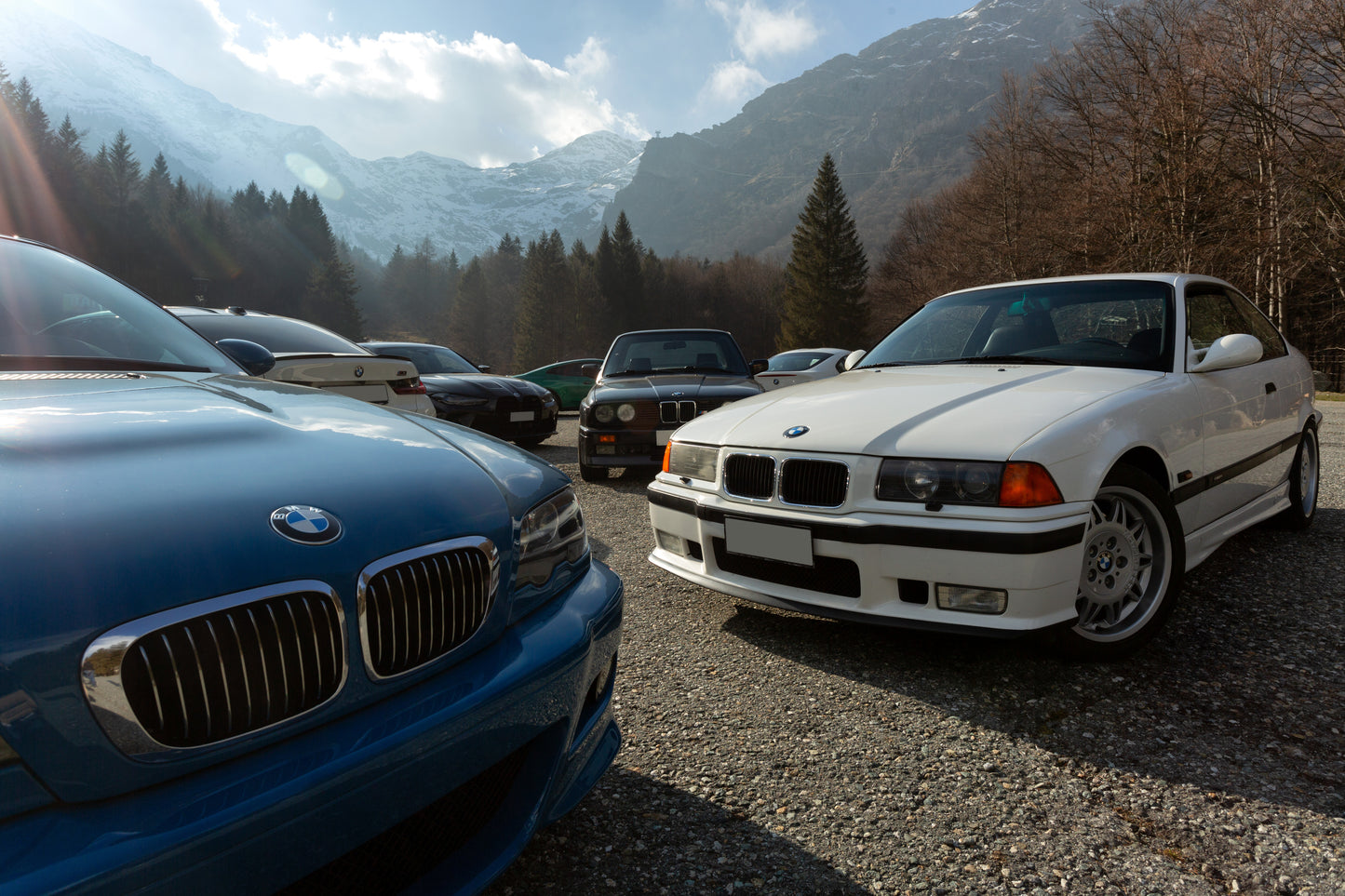 Biella Bimmers